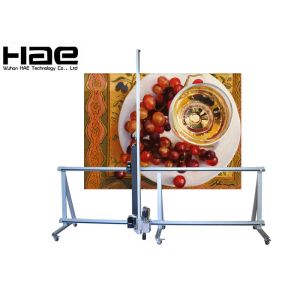Outdoor And Indoor Direct To Wall Inkjet Printer 3D Vertical Wall Printer Mural