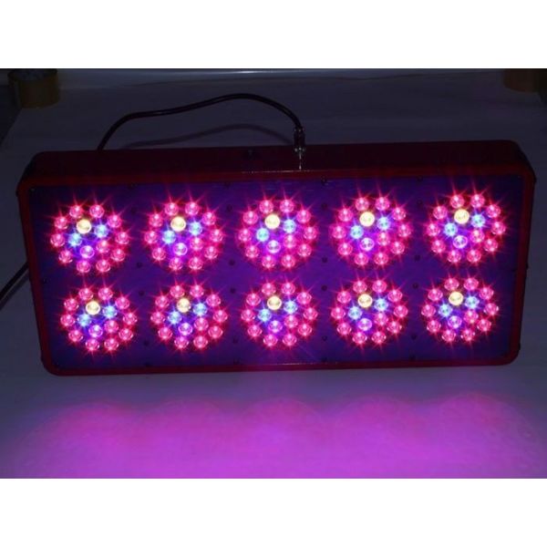 Quality 2018 NEW High power 450W full spectrum Cree Apollo LED Grow Light Plant Panel Flowering for sale