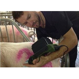 Mini Veterinary Ultrasound Scanner