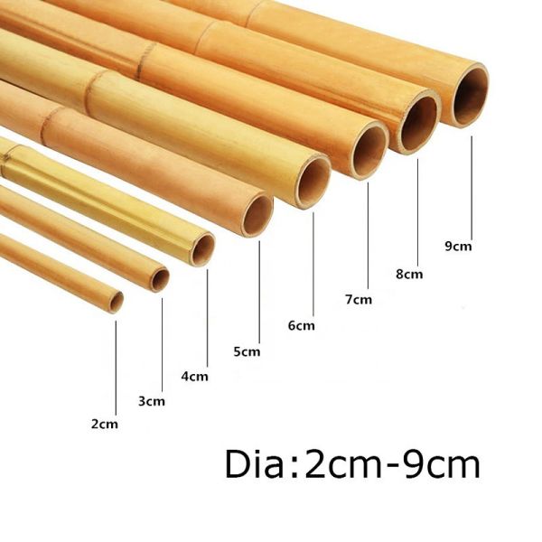 Quality Natural Bamboo Pole 45cm-600cm for Garden Plant Support for sale