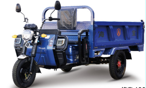 Quality F180 1500WD Electric Tricycle For Cargo for sale