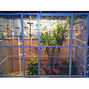 aviary mesh for Medium Pet Birds