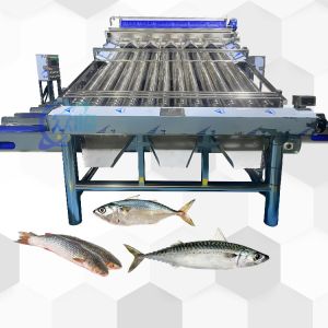 Efficient Small Yellow Croaker Sorting Machine Small Yellow Croaker Roller