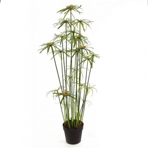Buy cheap Height 155cm Artificial Potted Floor Plants Cyperus Eco Friendly from wholesalers