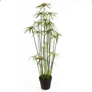 Buy cheap Height 155cm Artificial Potted Floor Plants Cyperus Eco Friendly from wholesalers