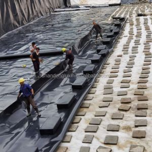 Project Solution Capability White HDPE Geomembrane 0.5mm 0.75mm 1mm for Fish