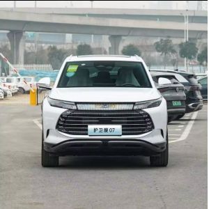 Byd Frigate 07 Hybrid SUV with Permanent Magnet Synchronous Motor and 100km
