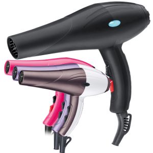 DC Motor Professional Hair Blow Dryer With Concentrator Diffuser Ionic Function