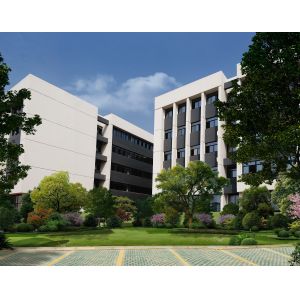 Wuhan TORLEO Intelligent Co., Ltd.