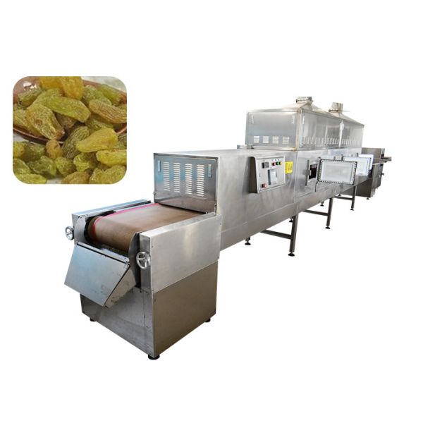 Belt Conveying Raisins Food Sterilization Equipment , Microwave Sterilization