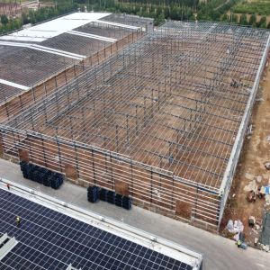 Custom Steel Structure Warehouse with 50-Year Lifespan