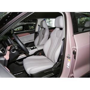 BYD Yuan UP 2024 301KM Leading Model Economic EV Cars