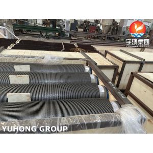 TP304 18Cr-8Ni Finned Pipe 11-13Cr Fins For Fired Heater Convection Section