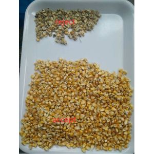 Buy cheap Raspberry Color Sorter Color Sorting Machine Grain Rice Wheat Coffee Bean Nuts Color Sorter for Frozen Strawberry Blueberry from wholesalers