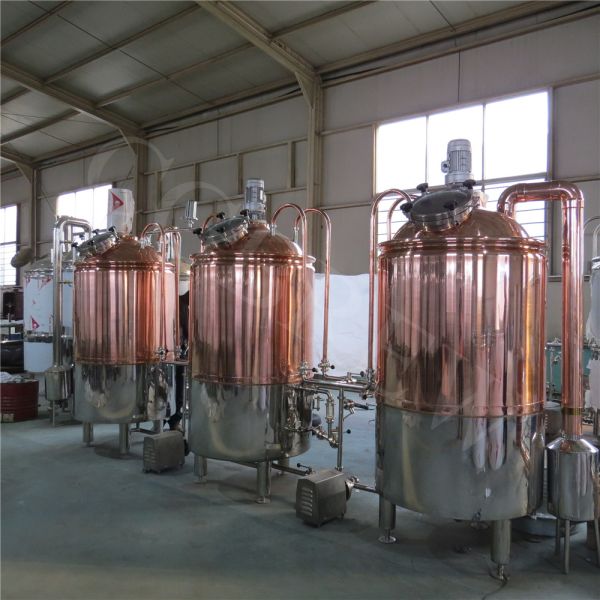 Quality 300L lager beer brewery equipment for brewpub and restaurant for sale