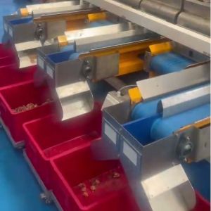 Efficient 4 Lanes Walnut Kernel Sorting Machine Utilizing Linear Vibrators And