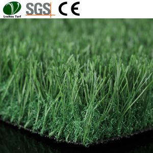 China Backyard Putting Green Real Grass Garden Landscaping 60mm Pile Height on sale