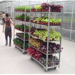 Buy cheap Rubber Wheel Hand Flower Container Danish Cart Hot Galvanizing from wholesalers