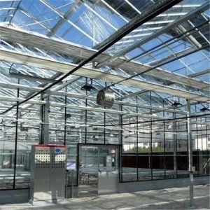 Buy cheap Cultivation Method Hydroponics Customized Glass Greenhouse for Cucumber Customization from wholesalers
