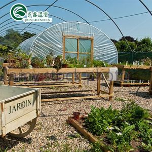 Small Garden Greenhouses With Double Layer And Automatic Control Box