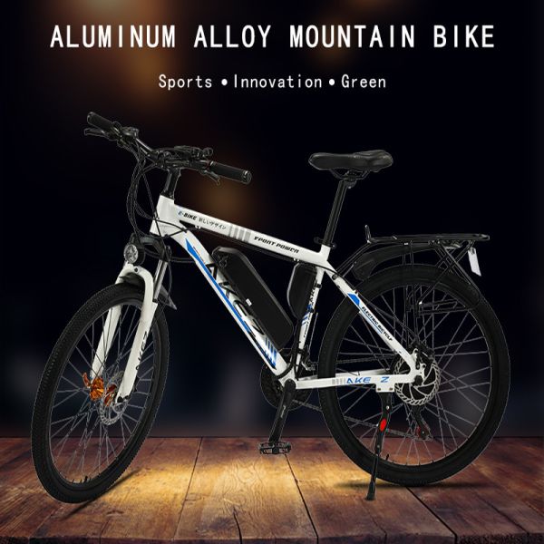 Quality Electric Bicycle Frame Magnesium Alloy 40Km/H Electric Bicycle for sale