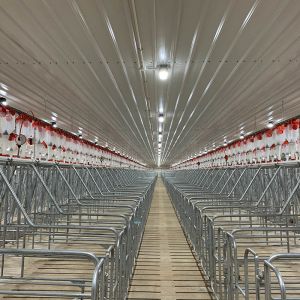 Galvanized C Z Steel Poultry Farming Structures