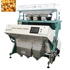 China 2T/H-4T/H Seed Corn Sorting Machine Easy Operate Colour Separation Machine on sale