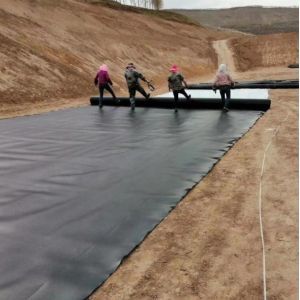 Landfill and Shrimp Farming Waterproof HDPE Geomembrane with Double Smooth