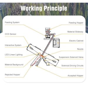 AI Coffee Bean Sorter CCD Sorting Machine