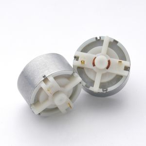 Faradyi High Quality Customization 12V 24V 48V 2500Rpm 3500Rpm 310 Mini Dc Brush