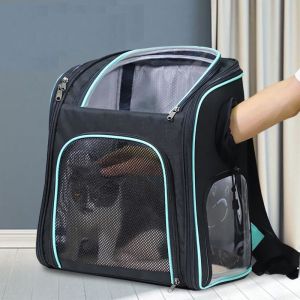 Buy cheap Customization Pet Dog Cat Travel Carrier Backpack With Breathable Mesh from wholesalers