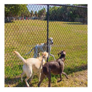 Buy cheap Fence Mesh 8 Foot Boundary Wall PVC Coated Hot Dipped Industry Galvanized Chain Link Fence from wholesalers