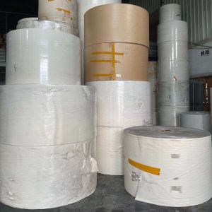 Offset Printing PE Laminated Paper Cup Rolls Raw Materials