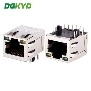 KRJ-H202GYENL RJ45 With Light / Transformer , Network Interface Ethernet
