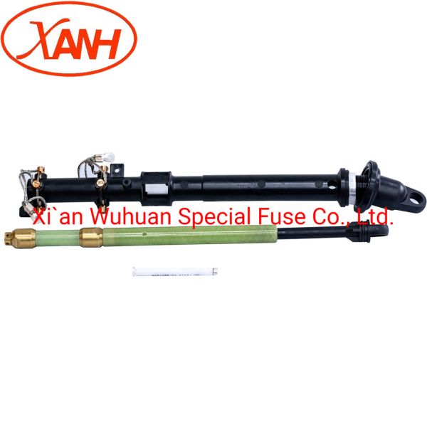 Oil-Immersed Type Transformer Protection High Voltage Limit Current Fuse Backup Fuse Bay-O-Net Fuse Elsp Fuse Cbuc38080d100