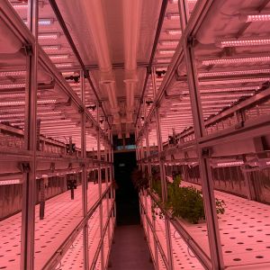 Buy cheap Ventilation fan 40ft Container Greenhouse for Advanced Plant Growth from wholesalers