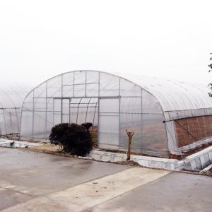 Buy cheap Clear Plastic Film Polyethylene Steel Frame Greenhouse With Irrgation System from wholesalers
