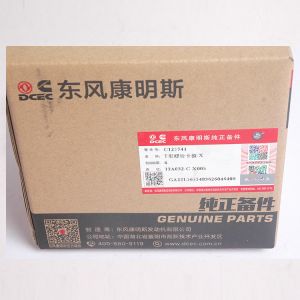 Buy cheap 125741 T Bolt Clamp For Cummins K19 Engine from wholesalers