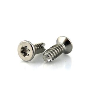 Buy cheap EJOT Stainless Steel Torx Flat Head Cutting Tail Thread Forming PT Screw for Solutions from wholesalers