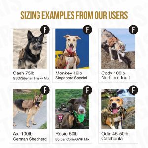 Well-Made Air-Mesh Padded Best Dog Carrier Backpack with Hook-and-Loop Closured