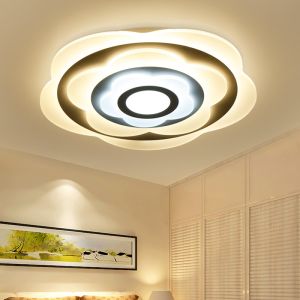 Decorative Fancy ceiling lights for living room Bedroom Foyer Lighting Fixtures