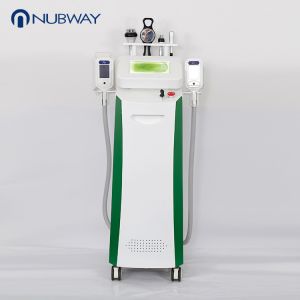 China 2018 Newest weight loss cryolipolysis slimming machine with 5 handles for clinic use on sale
