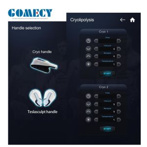 Cryolipolysis Emslim Machine 2 In 1 For Body Muscle Stimulation Fat Weight Loss