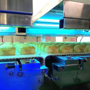 Buy cheap Stainless Steel Belt Conveyor System Automatic Food Grade Cooling Conveyor from wholesalers