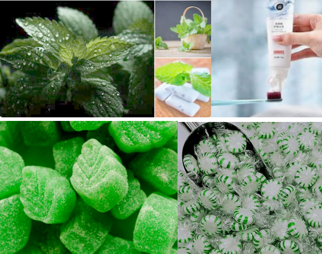 Fragrances Oil Materials Spearmint Fragrance Base Spearmint Accord