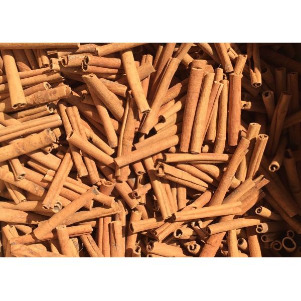 Quality Yellow Brown Cigarette Cassia Herbs And Spices 8cm 10cm 12cm for sale