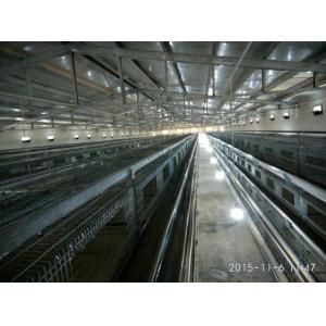 The Four-tier Battery Cage System Includes Automatic Ventilation, Housing Up To