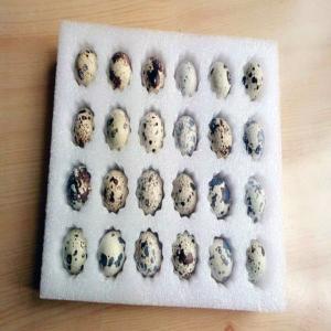 Buy cheap Durable Paper Packaging Material Punching Machine with Hydraulic Syste from wholesalers