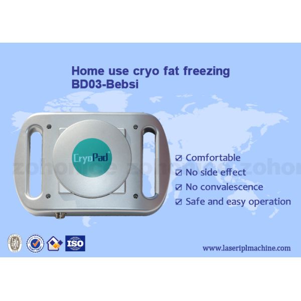 Quality Home use mini Cryo antifreeze pad cryolipolysis body slimming machine for sale