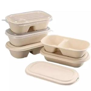 Buy cheap Hotel Biodegradable Compostable Sugarcane Container 100C Fast Food Takeaway Packaging from wholesalers